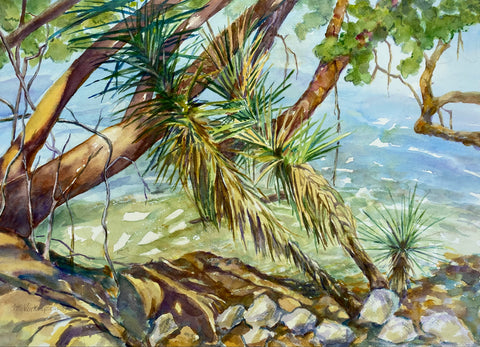 Veerkamp-Schwab, Mary Sue - "The Bay at Desoto Park, Tampa"