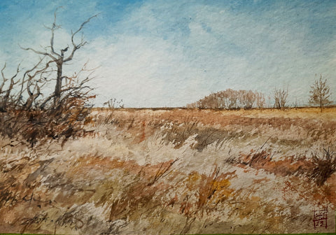 Fields, Brad - "Kankakee Sands, III"