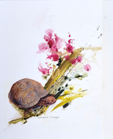 Driggs, Daniel T. - "Red Headed Box Turtle"