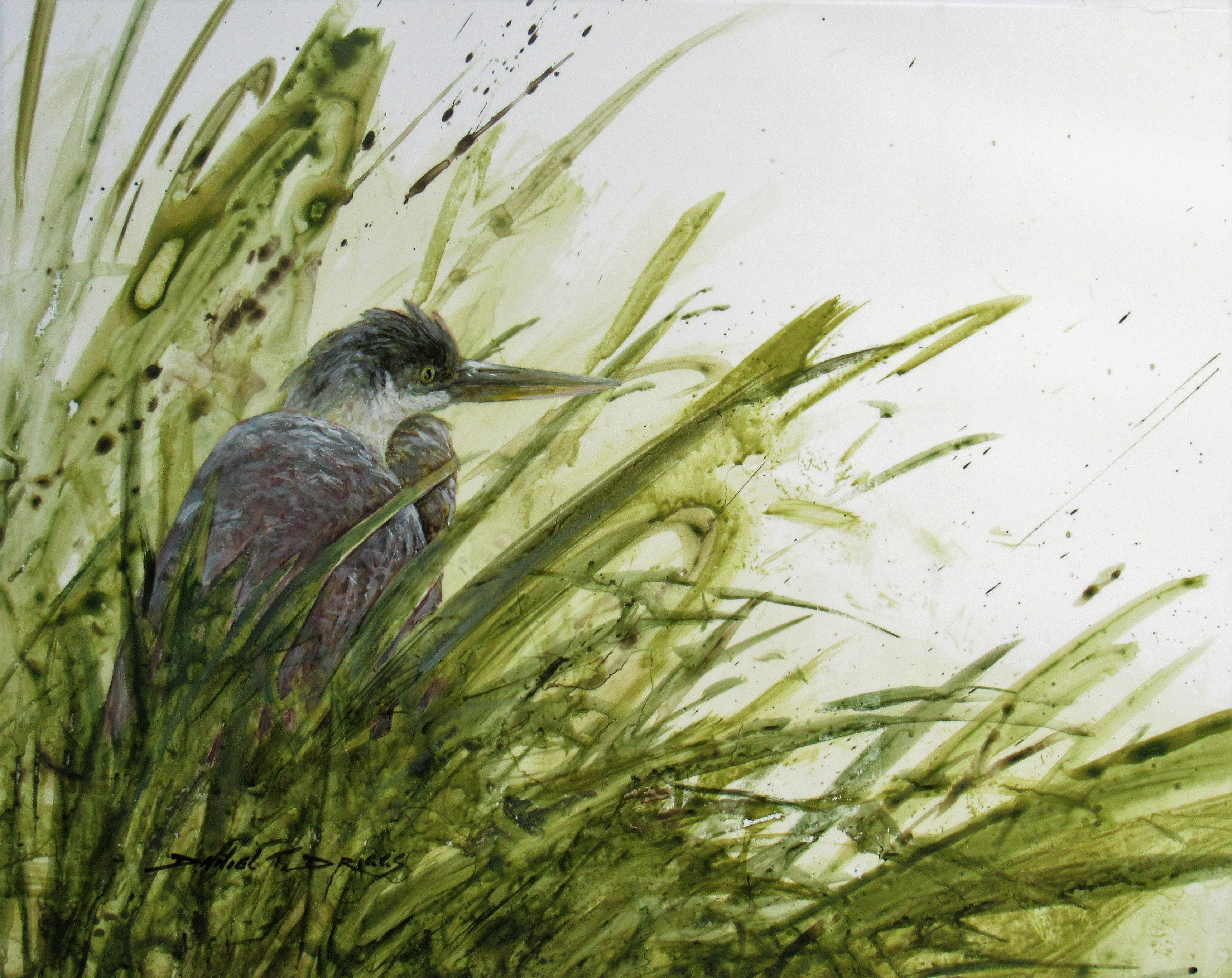 Daniel Driggs - "In the Grass"