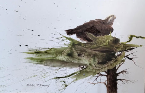 Daniel Driggs - "Colorado Osprey"