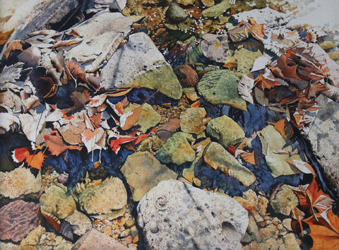 Armstrong, Terry "Indiana Creek Tapestry"