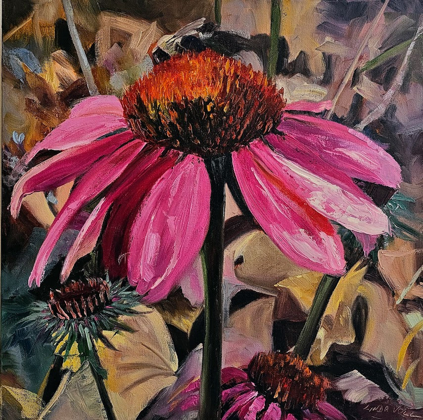 Volz, Linda "Carnal Cone Flower"