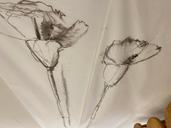 Drawing Basics with Douglas David