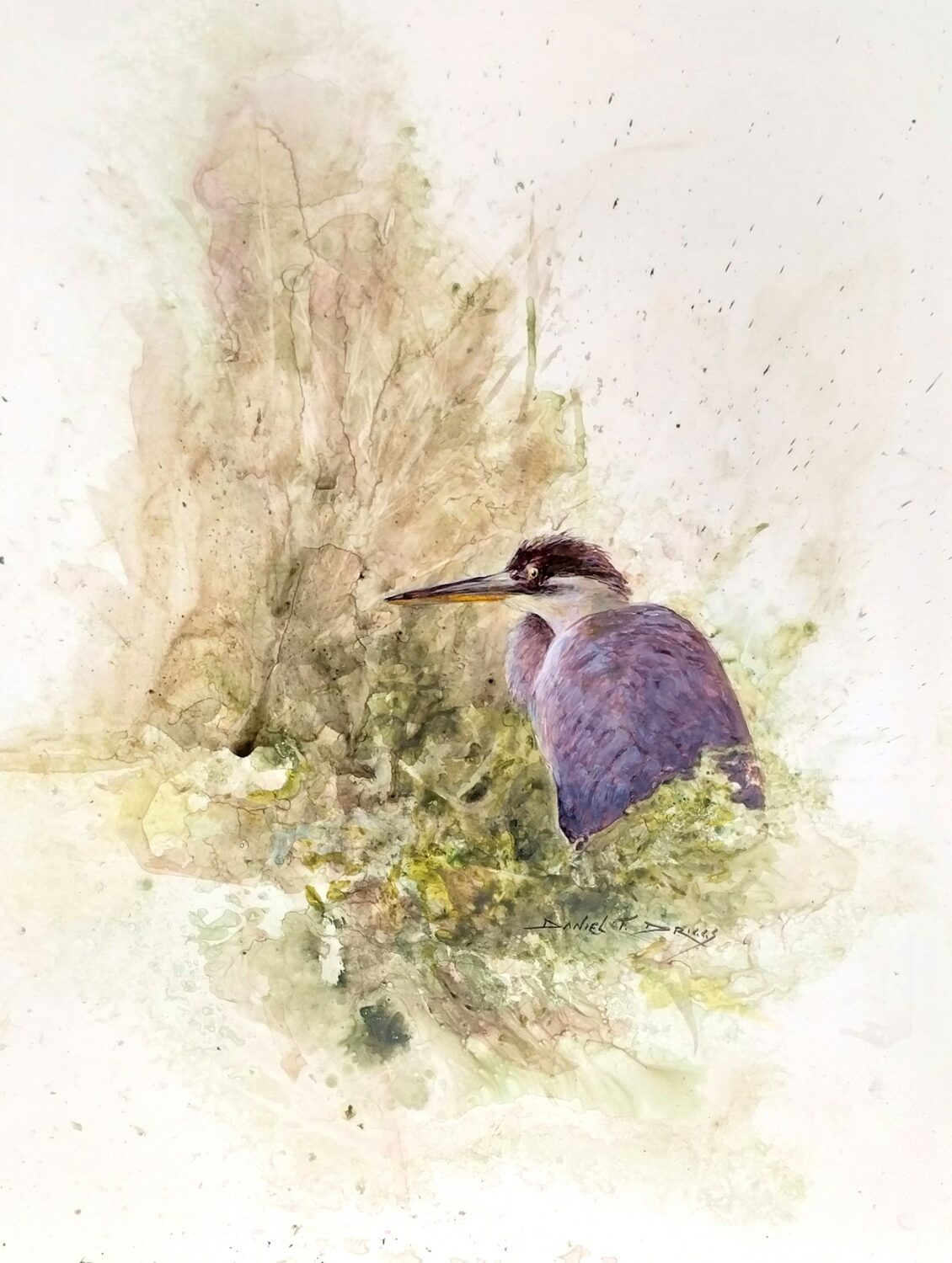 Driggs, Daniel - "Hiding Heron"