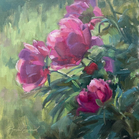 Dowd, Rachel "Evening Sun Peonies"