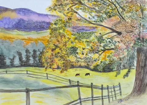 Briant, Jo "Fall in the Hills"