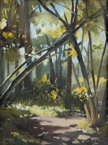 Bailey, Michael Patrick  - "Finding the Trail"