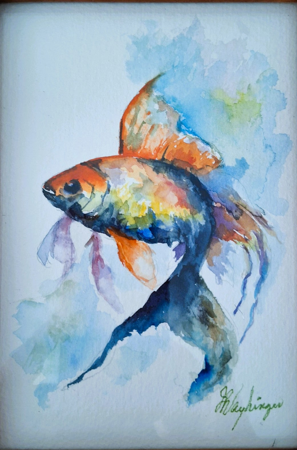 Vayhinger, Janet "Flashy Fish"