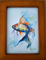 Vayhinger, Janet "Flashy Fish"