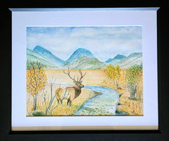 Gilbert, Gary "Elk, Rocky Mt. National Park"