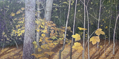 Gutelius, Christel "Contrast of Fall Maples"