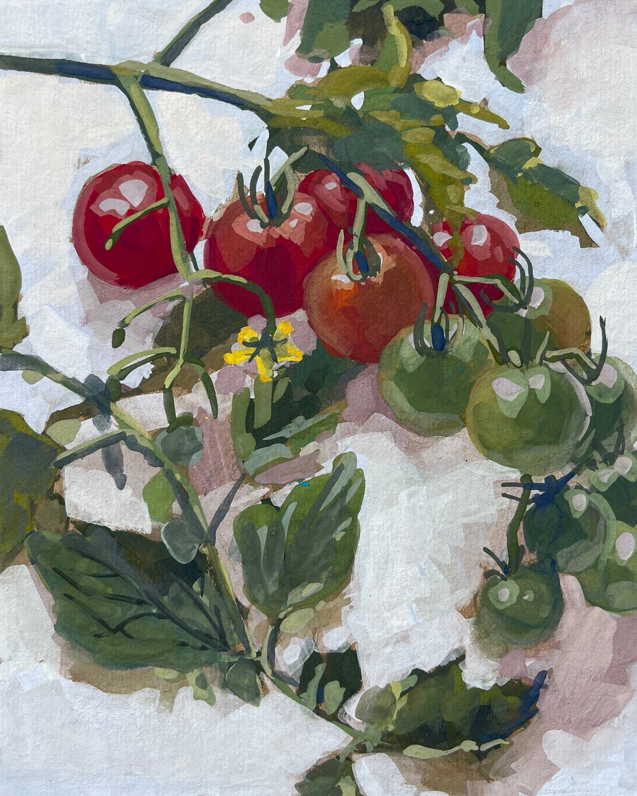 Rachel Dowd - "Summer's Supersweets"
