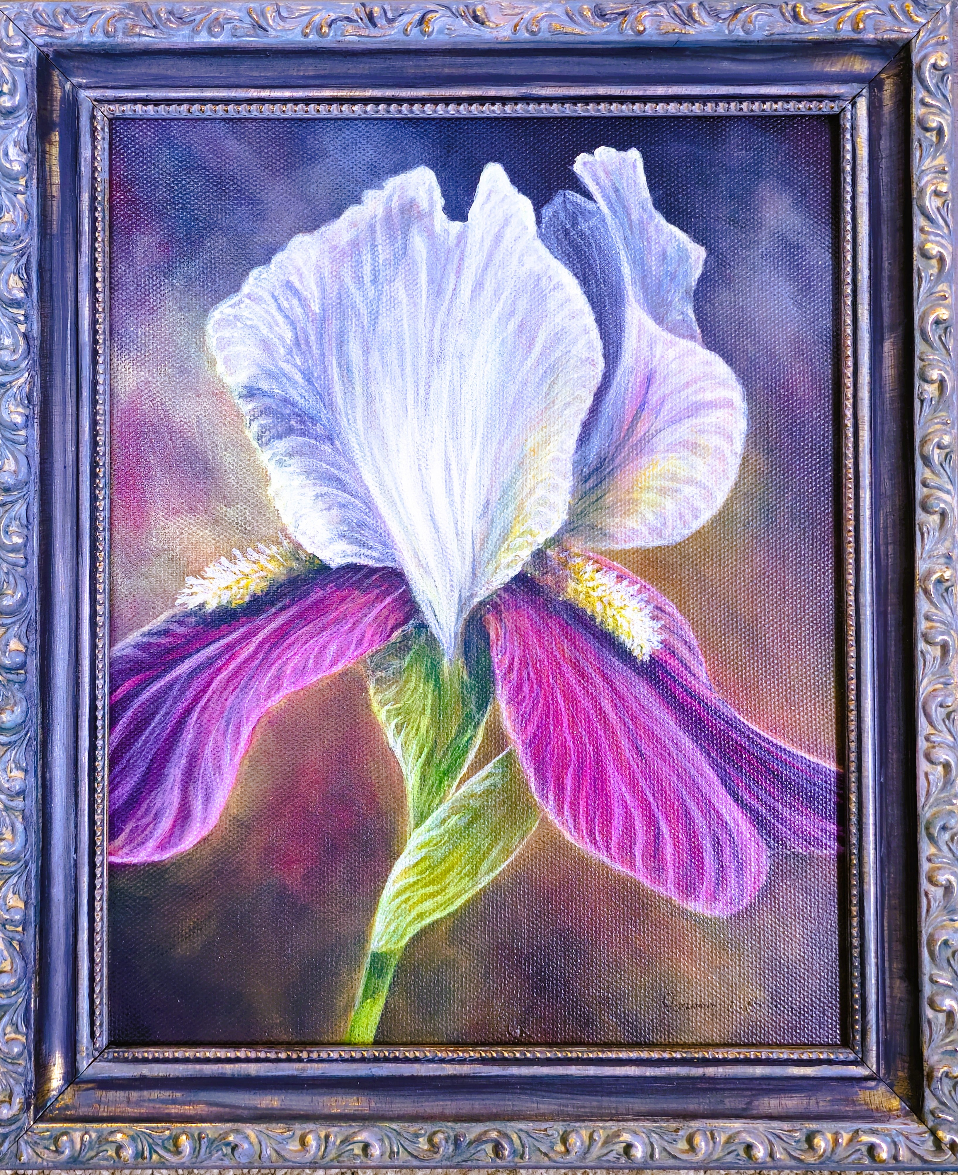 Massey, Joanne "Iris in May"