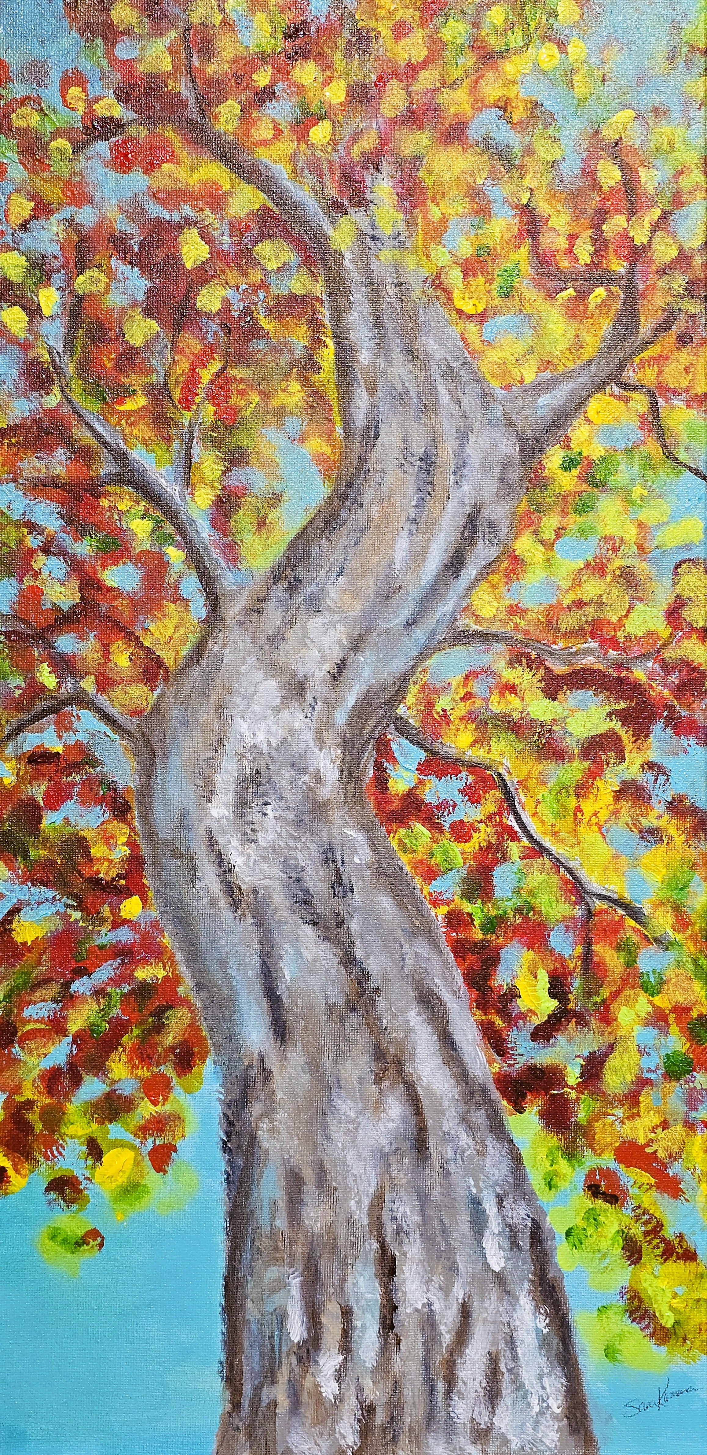 Kamman, Sara "Looking Up"