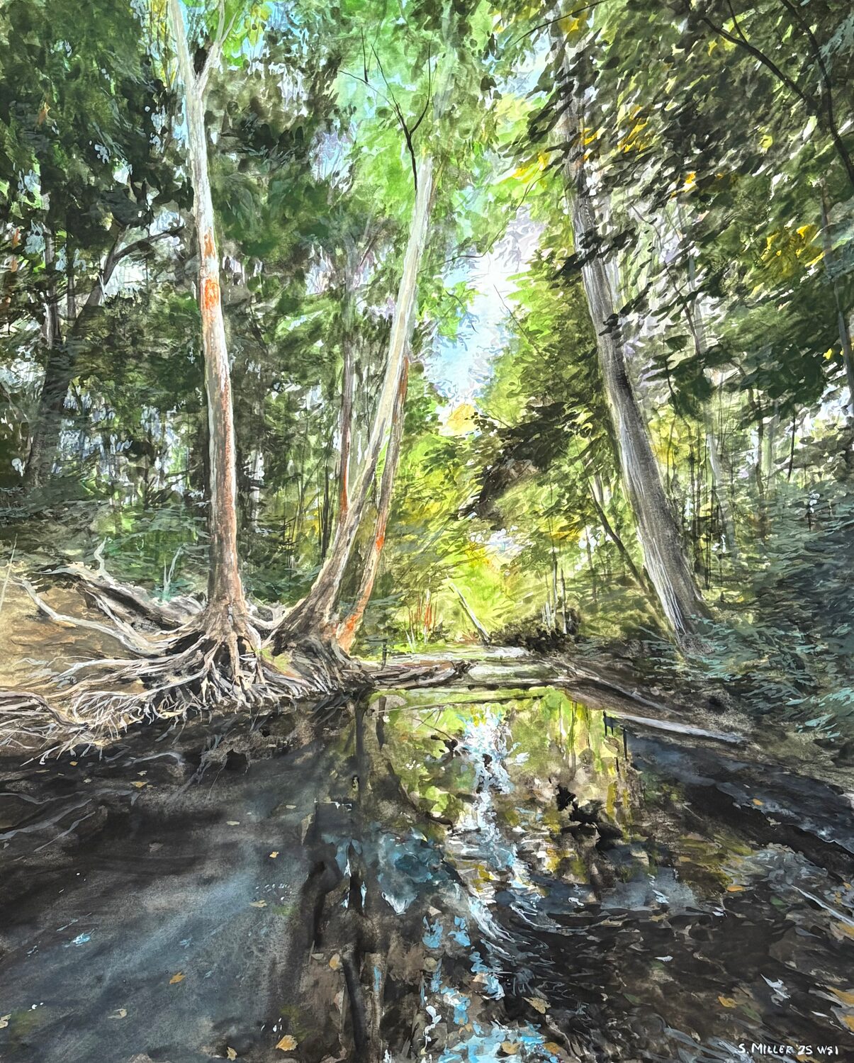 Miller, Scott - "Three Sycamores Showing Their Roots"