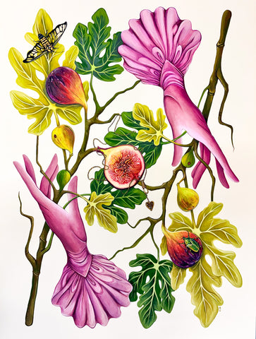 Wolfe, Molly "Oh Honey! It Is Just a Figment of Your Imagination"