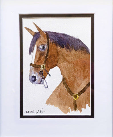 Bryan, Darrell "Mr. Ed"