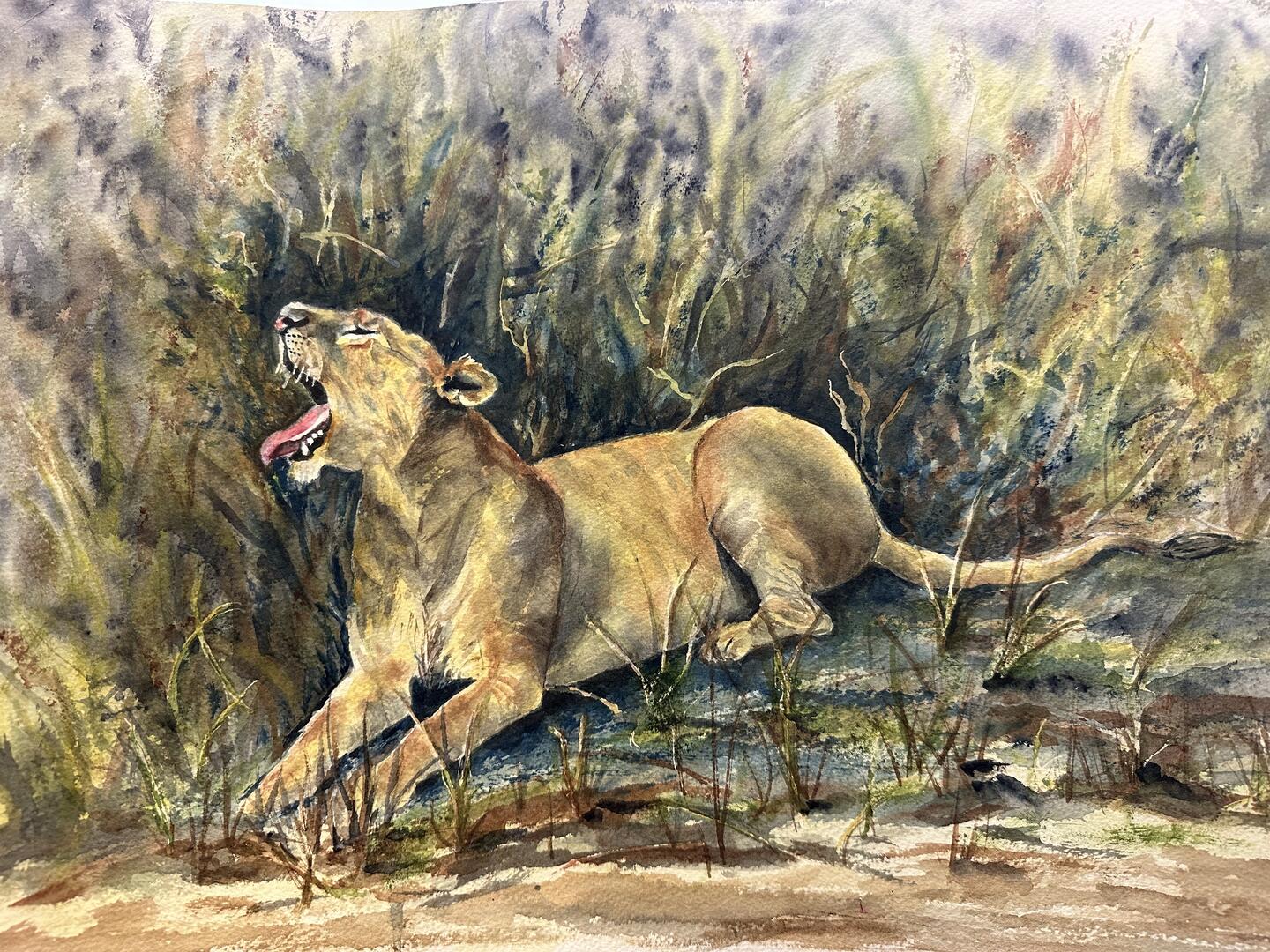 Matlock-Rairdon, Nancy - "Summer Naptime on the Maasai Mara"