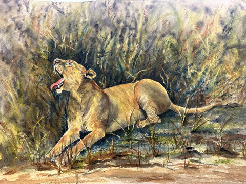 Matlock-Rairdon, Nancy - "Summer Naptime on the Maasai Mara"