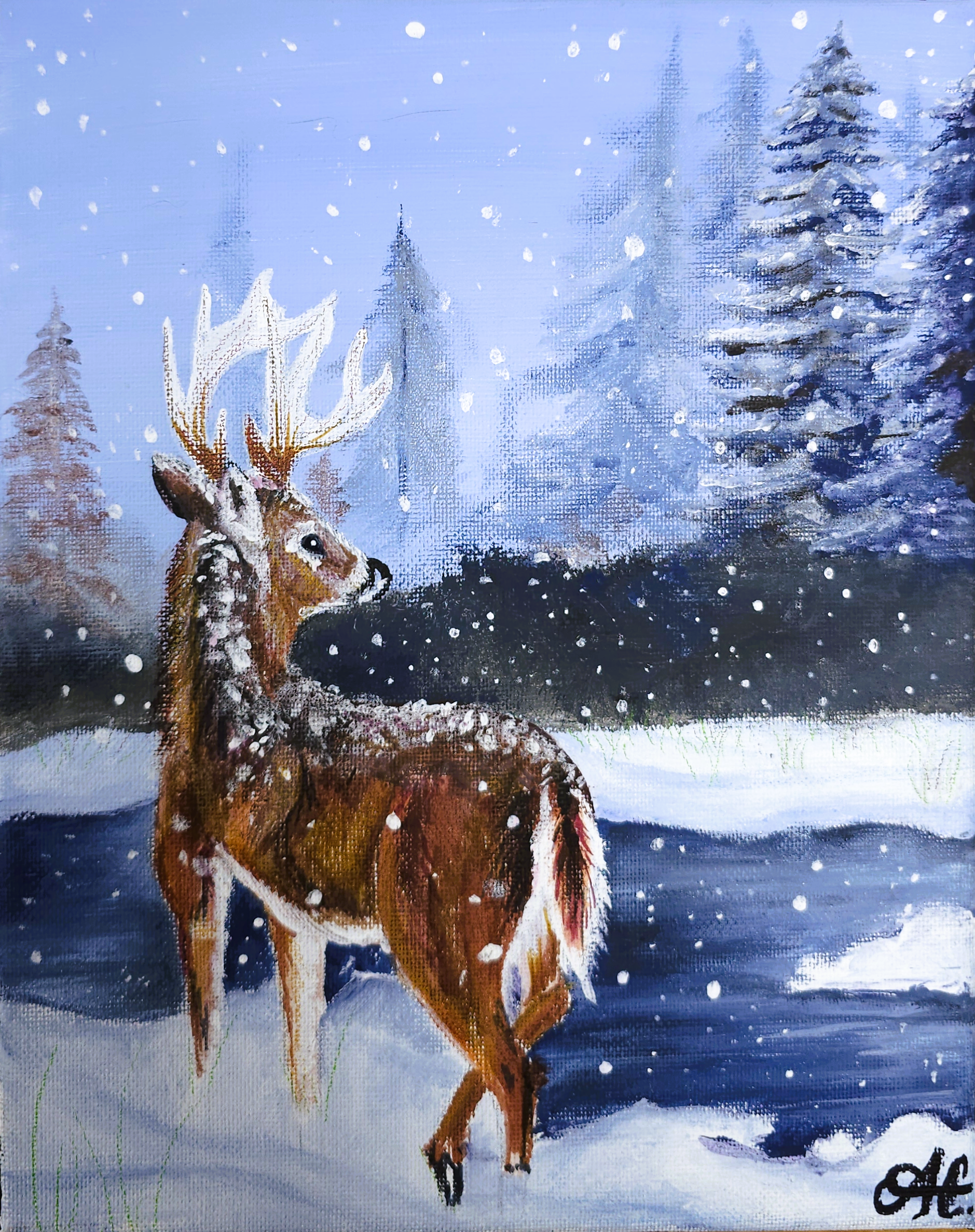 "Night Wonder" - Addalynne Carter