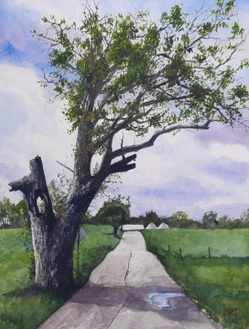 Brad Fields - "Ol' Damned Tree On Old Dam Road" Finish