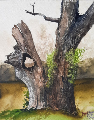 Brad Fields - "Ol' Damned Tree On Old Dam Road" Study