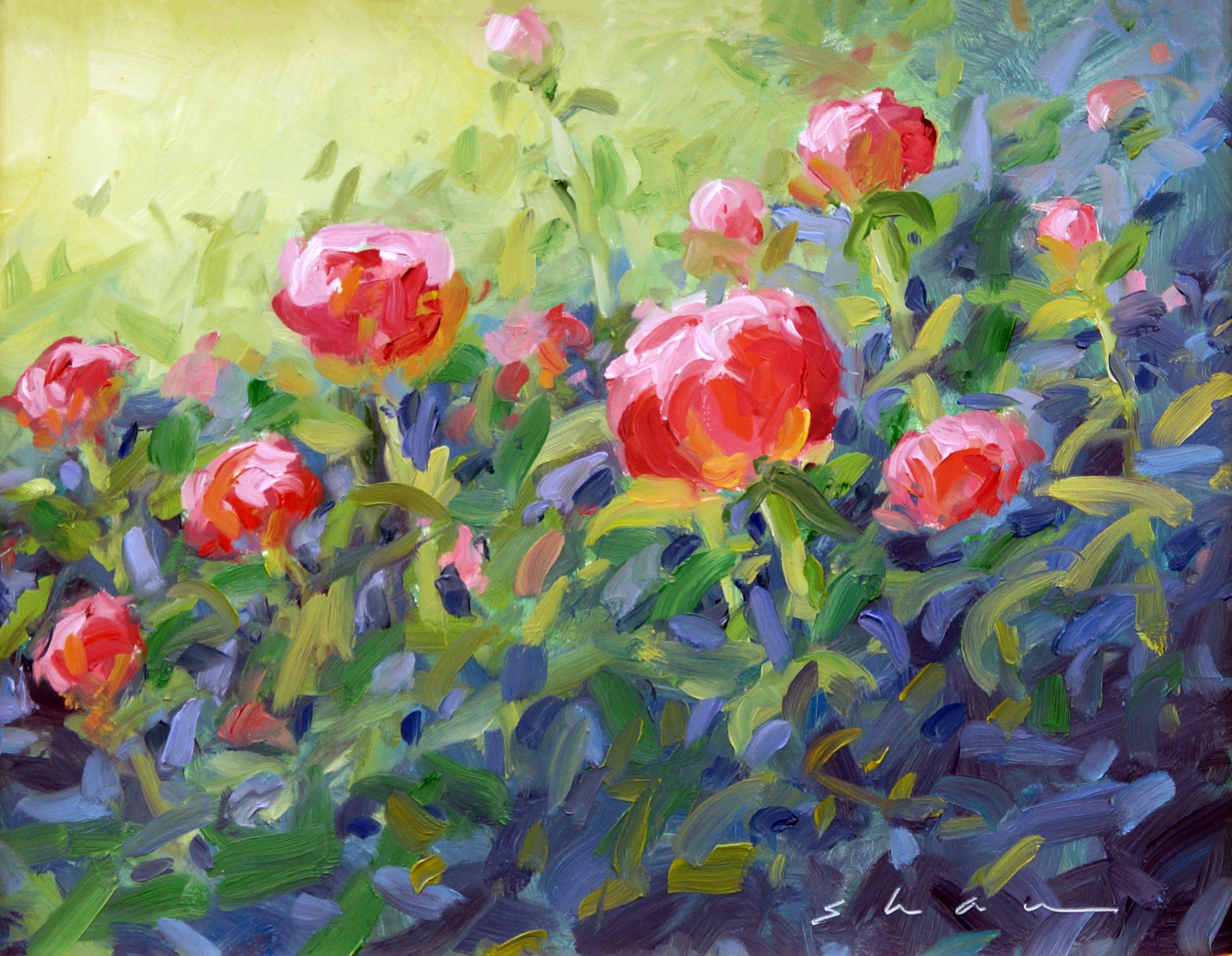 Kerry Shaw - "Peonies"