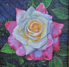 Houghton, Kathryn J. "Rose Cream"