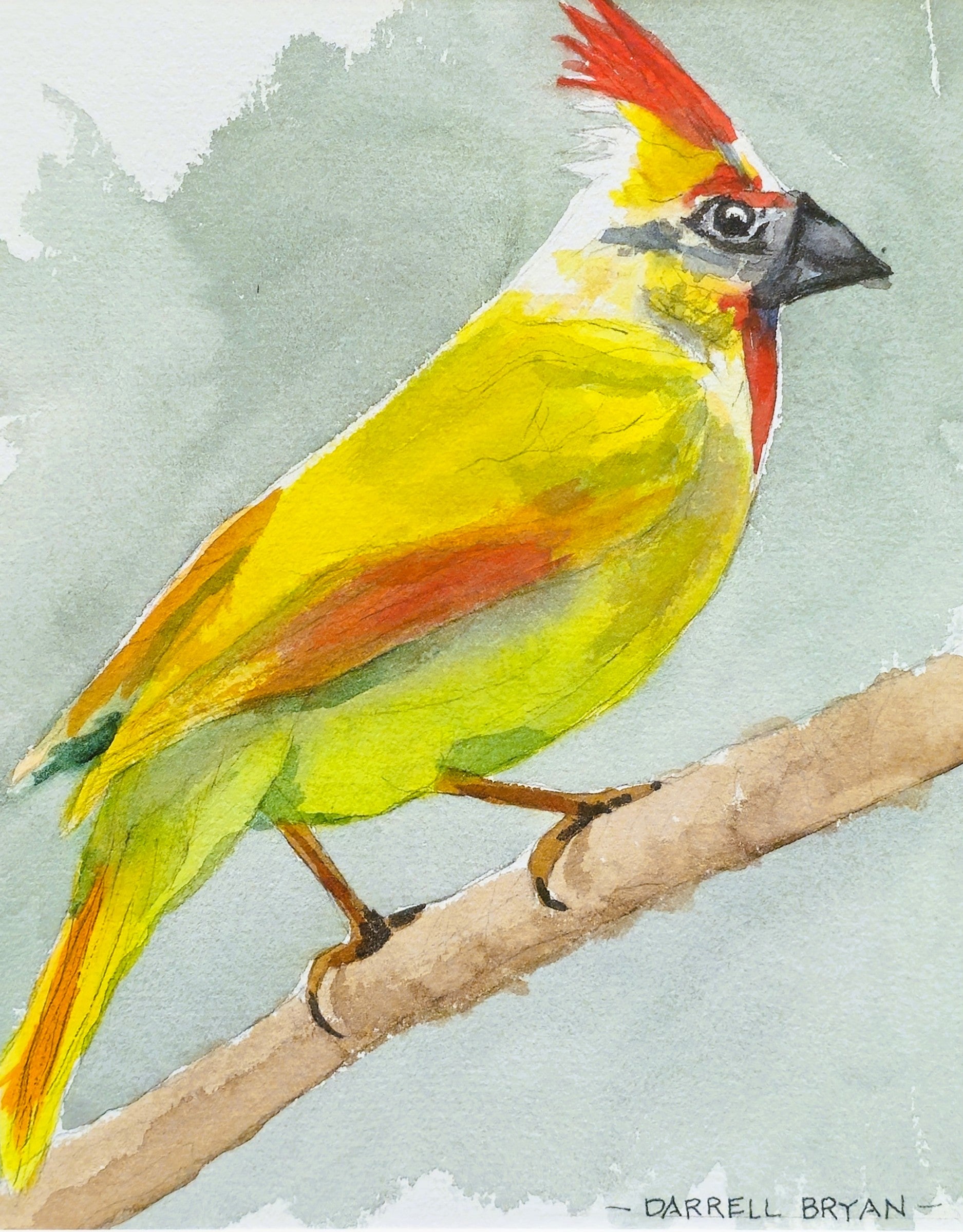 Bryan, Darrell "Pretty Cardinal"