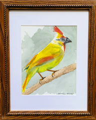 Bryan, Darrell "Pretty Cardinal"