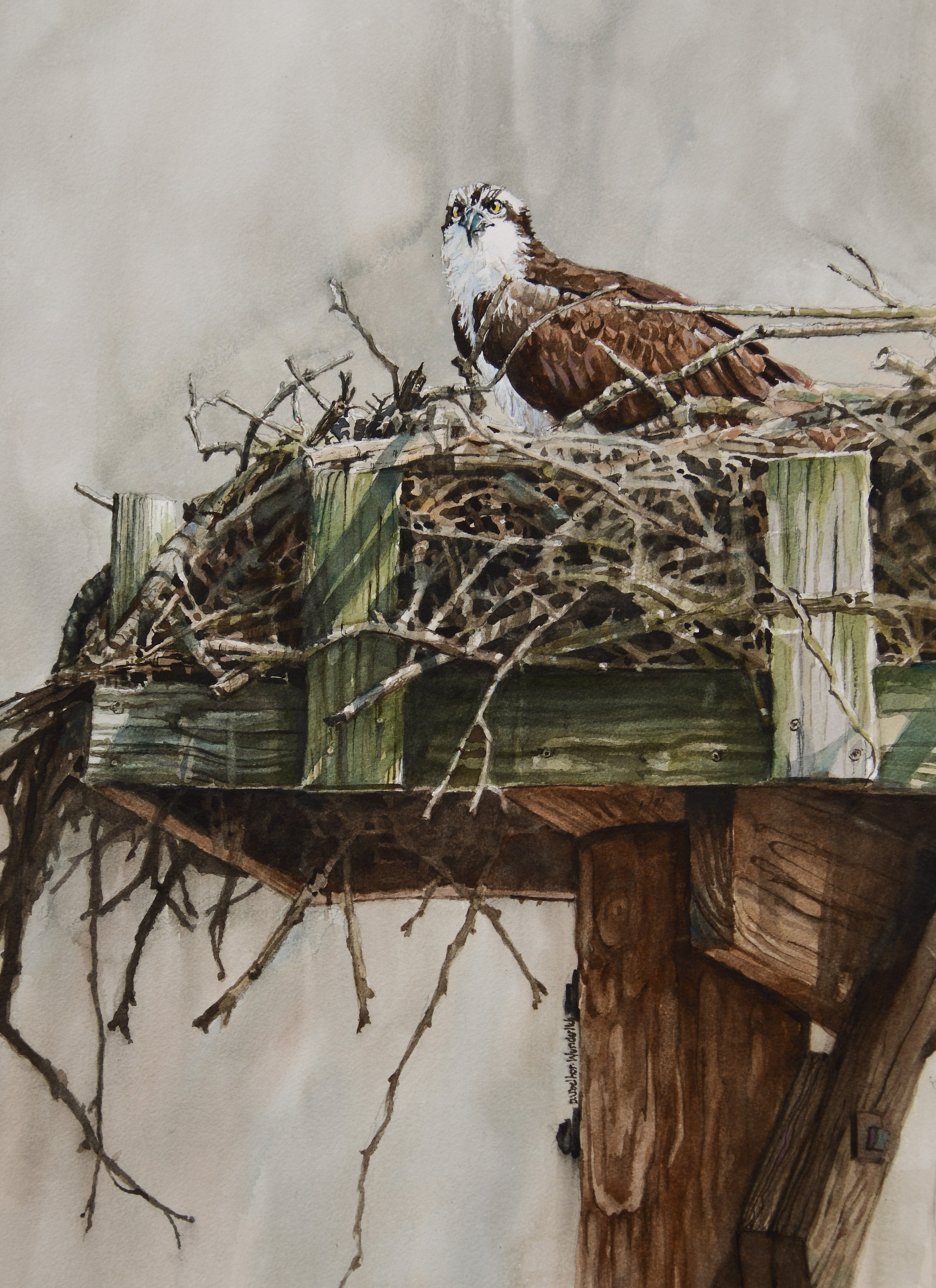 Diane Ubelhor-Wunderlich - "Prime Real Estate"