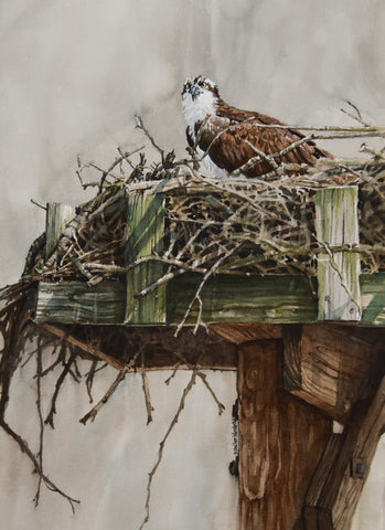 Diane Ubelhor-Wunderlich - "Prime Real Estate"