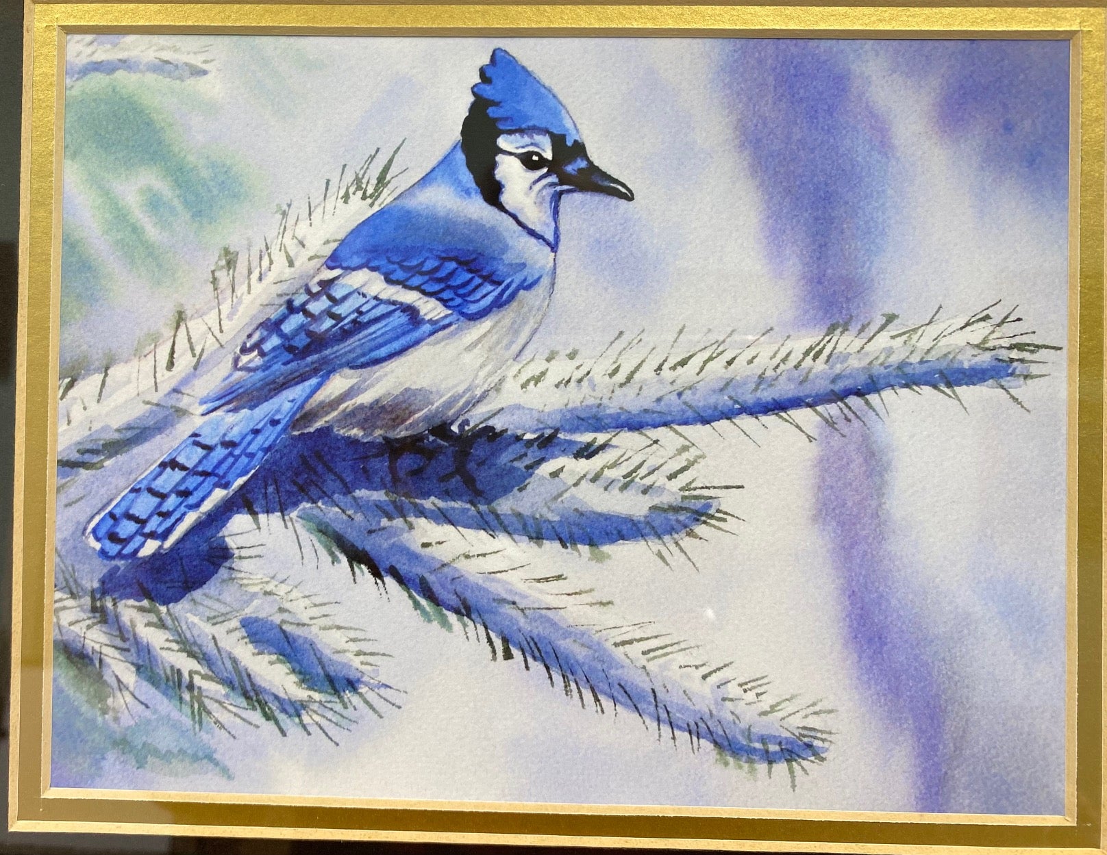 Rapp, Maggie - "Frosty Jay"