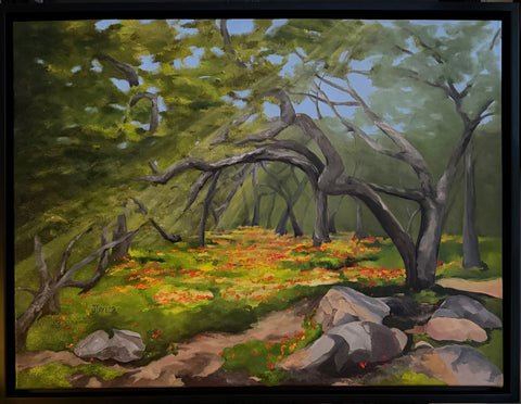 Taylor, Jennifer "Rays of Light"