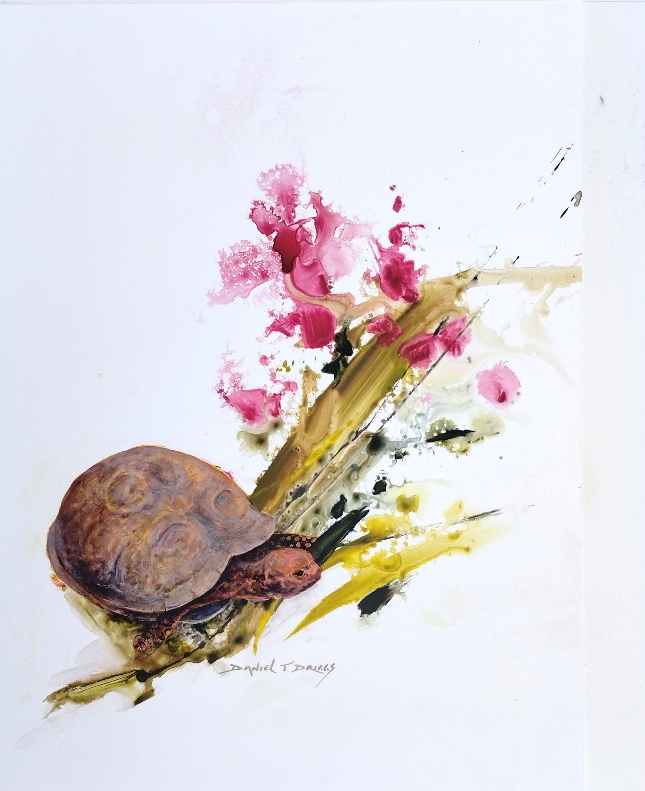 Driggs, Daniel T. - "Red Headed Box Turtle"