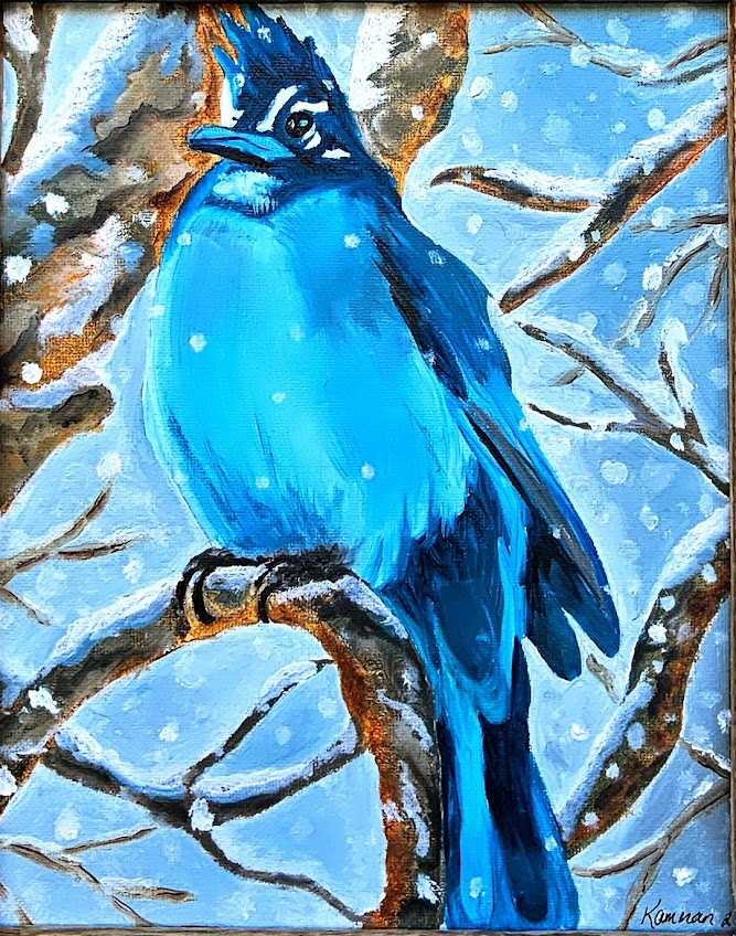 Kamman, Sara "Colorado Stellar Jay"