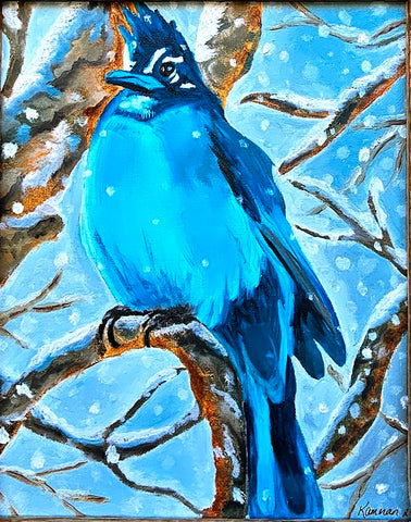 Kamman, Sara "Colorado Stellar Jay"