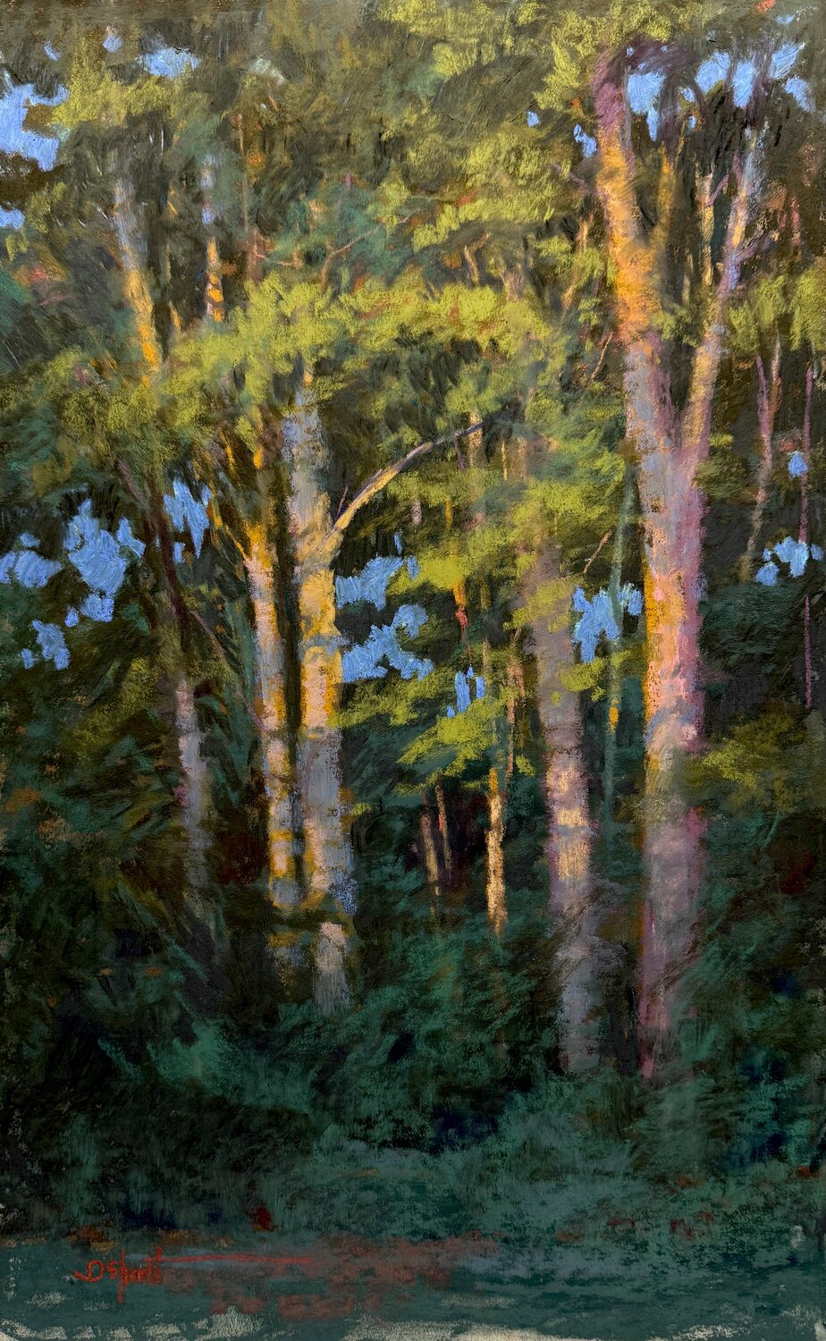 Shortt, Donna - "Terms of Light"