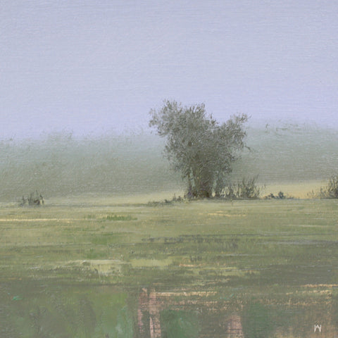 Allen Hutton - "Spring Field"
