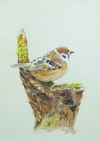 Bailey, Marsha "Stumped"