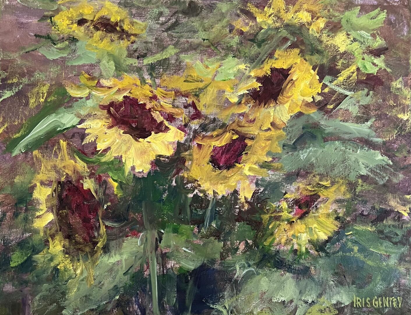 Gentry, Iris - "Sunflowers"