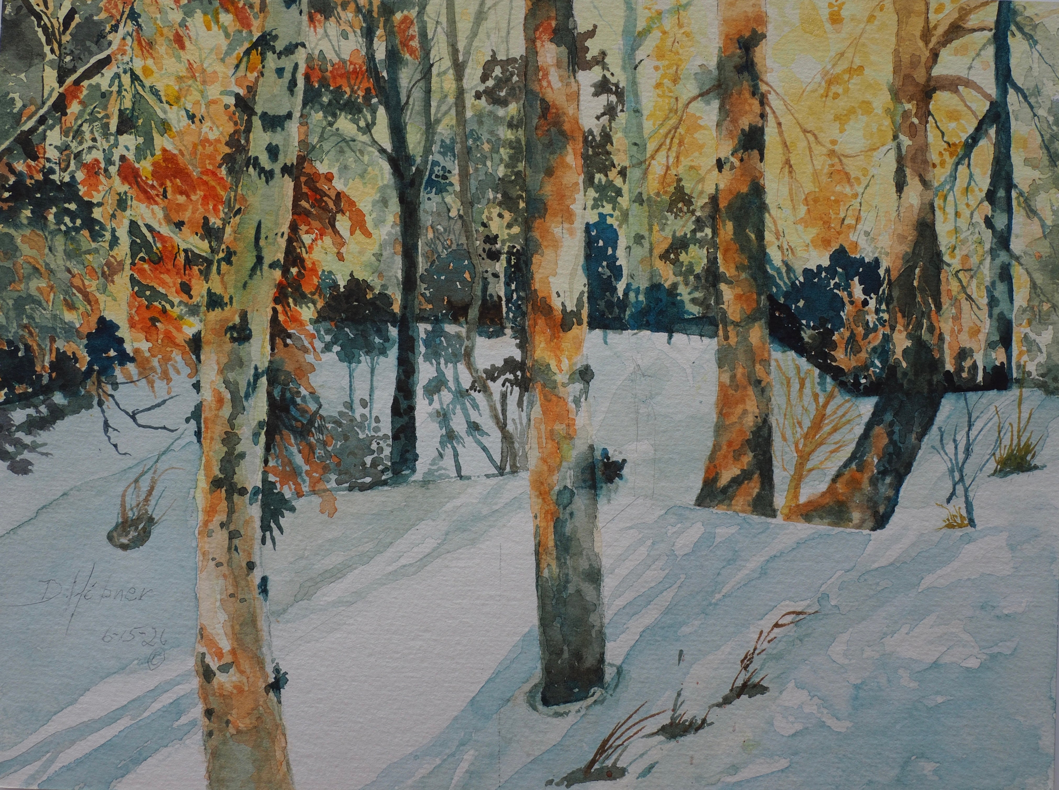 Dan Hibner - "Winter Brightness"