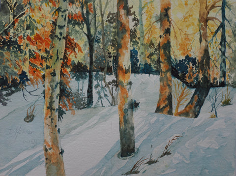 Dan Hibner - "Winter Brightness"