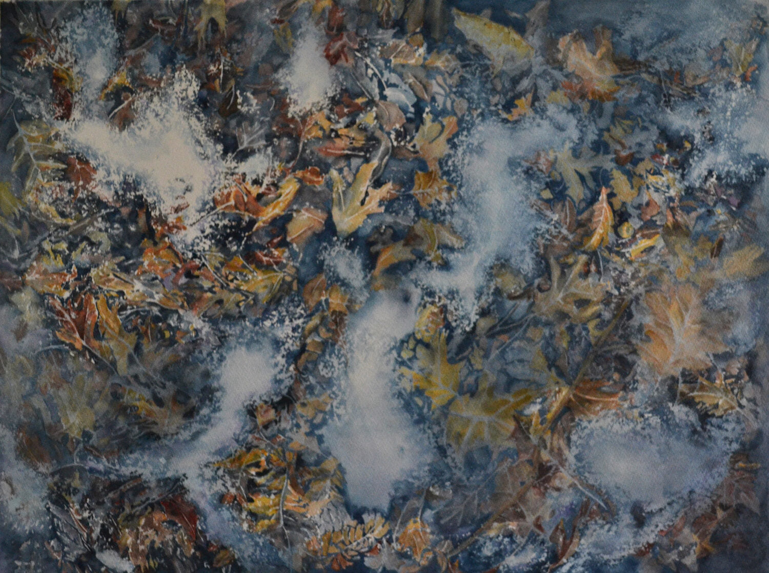 Woolard, Shirley - "Morning Frost"