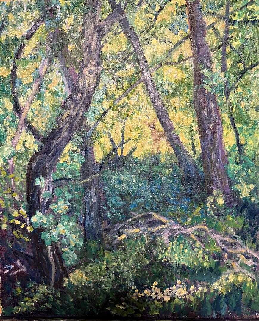 Abuasabeh, Amy - "The Dance of the Living Woods"