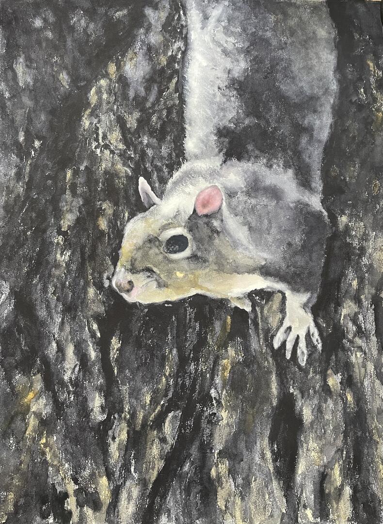 Greene, Janice - "Not My Backyard Squirrel"