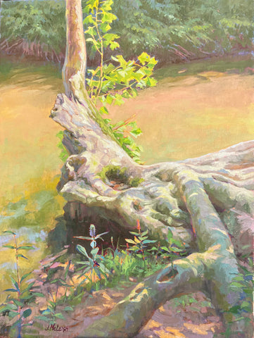 McLeish, Jeanne "Persistent Sycamore"