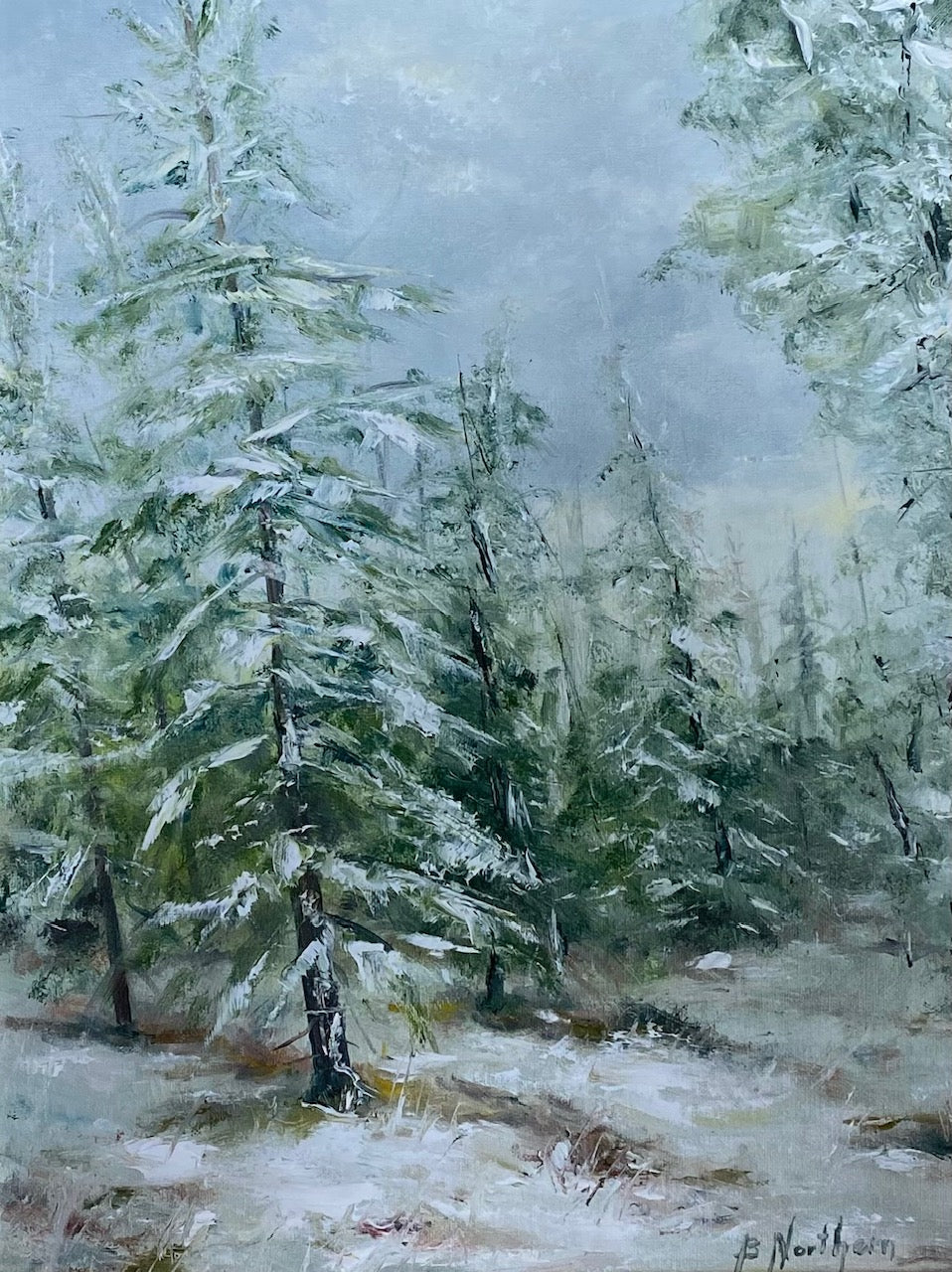 Northern, Barbara - "Snow Covered Pines"