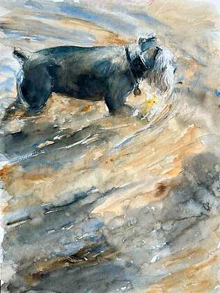 Afshar, Anna - "Stillness in Motion"